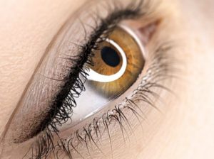 découvrez l'assurance maquillage permanent, votre solution pour un look impeccable à tout moment. protégez votre investissement en beauté et assurez-vous d'un résultat durable et harmonieux. apprenez-en plus sur nos options d'assurance adaptées à vos besoins.