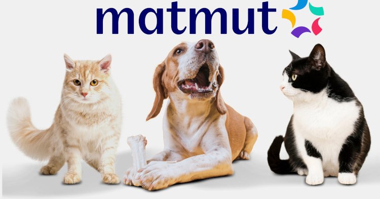 découvrez la franchise responsabilité civile de matmut, une solution d'assurance qui vous protège en cas de dommages causés à autrui. protégez vos biens et votre tranquillité d'esprit avec des garanties adaptées à vos besoins.