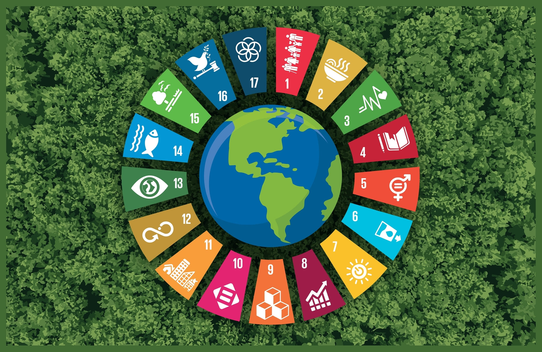 découvrez le rôle crucial de l'ocde dans l'économie mondiale et son impact sur les politiques économiques des pays membres. analyse des statistiques, des recommandations et des initiatives qui façonnent l'avenir économique global.