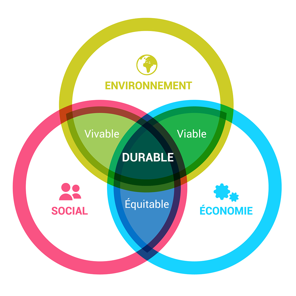 découvrez notre entreprise durable, engagée dans des pratiques respectueuses de l'environnement pour un avenir meilleur. nous allions innovation et responsabilité sociale pour offrir des solutions écologiques et durables. rejoignez-nous dans notre mission de protéger la planète tout en favorisant un développement économique éthique.