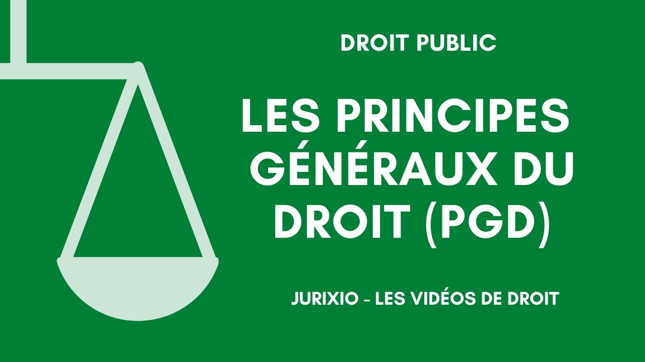 découvrez les fondements essentiels des principes du droit, une exploration des normes juridiques et des valeurs qui régissent la société. apprenez comment ces principes influencent la justice et garantissent le respect des droits fondamentaux.